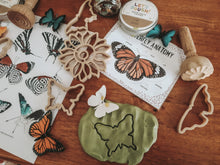 Load image into Gallery viewer, Eco Dough Cutters - Butterfly Set of 3